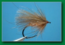 cdc_caddis_cinnamon