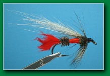 royal_coachman_steelhead