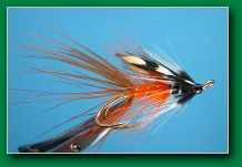 mourne_orange_gold_shrimp