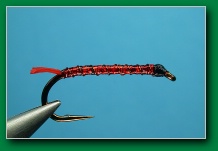 frostbite_bloodworm