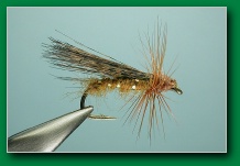 golden_body_tan_wing_caddis