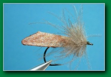 vag_caddis