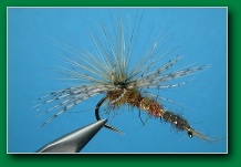 march_brown_emerger