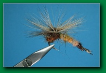 mayfly_emerger