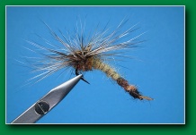 reversed_parachute_mayfly_emerger