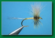 cdc_standard_dry_fly