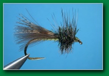 olive_henrys_fork_caddis