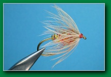 wet_sherbert_spider