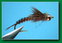 brown_stonefly