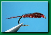 red_pheasant_tail