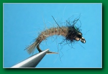 woolly_caddis