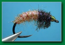 calli_czech_nymph