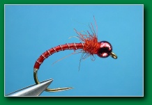 ricks_bloodworm