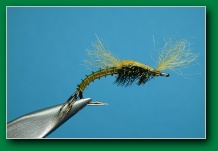 split_wing_snowshoe_emerger