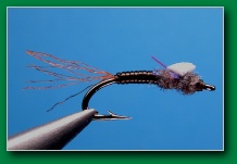 taks_paintbrush_foam_wing_emerger