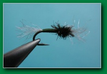 lilburn_special