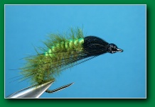 caddis_larva