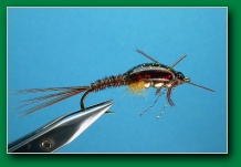 pheasant_tail_nymph