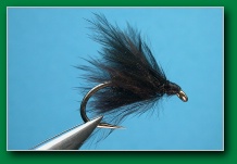 marabou_hackled_wet_fly