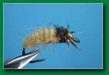 caddis_larva