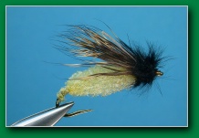 foam_emerging_caddis
