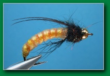 ivan_caddis_larva