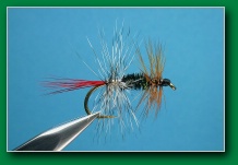 buzz_hackle