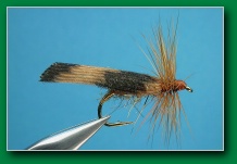 kings_river_caddis