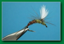 bwo_emerger