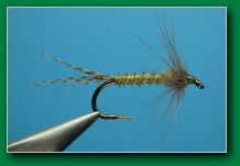 bwo_palm_emerger