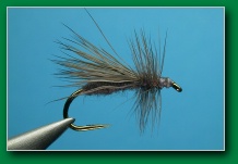 solomon_hair_wing_caddis