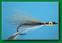 blacknose_dace_thunder_creek