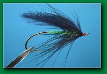 emerald_spey