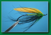 sunburst_spey