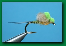 scotts_cdc_loop_emerger