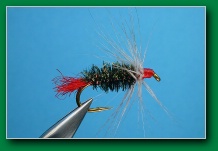 grey_hackle_peacock