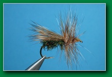 peacock_caddis