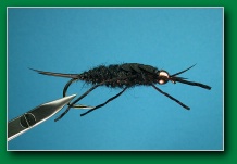 black_stonefly_nymph