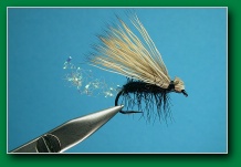 sparkle_shuck_caddis