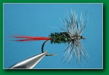 grey_hackle_peacock
