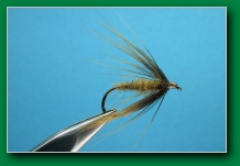 olive_badger_soft_hackle