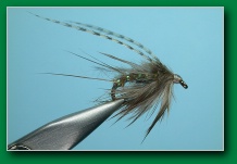 gartside_philo_caddis_emerger