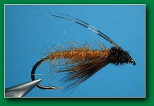 october_caddis