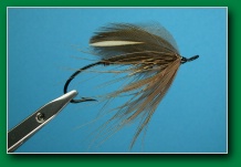 upland_spey