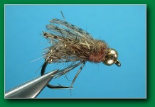 caddis_pupa