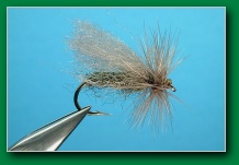 polypro_sedge