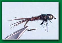 bead_head_pheasant_tail