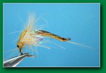 yellow_may_emerger