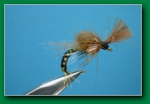 woven_cdc_loop_wing_emerger