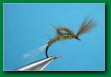 loop_tuft_bwo_emerger